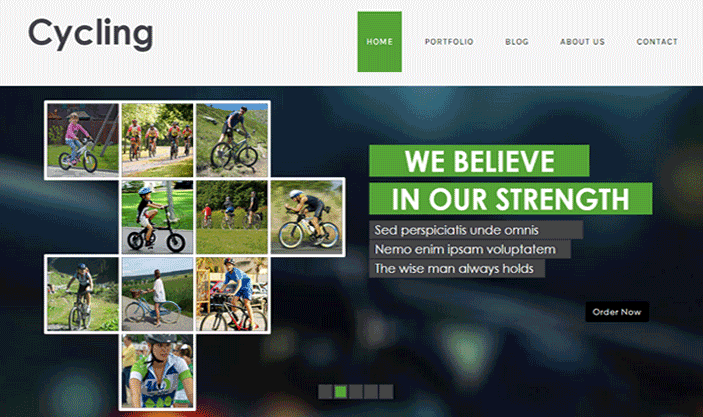 Cycling外贸网站建设案例